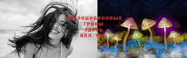 стаф Наволоки
