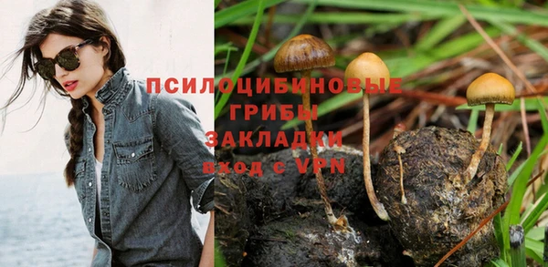 стаф Наволоки